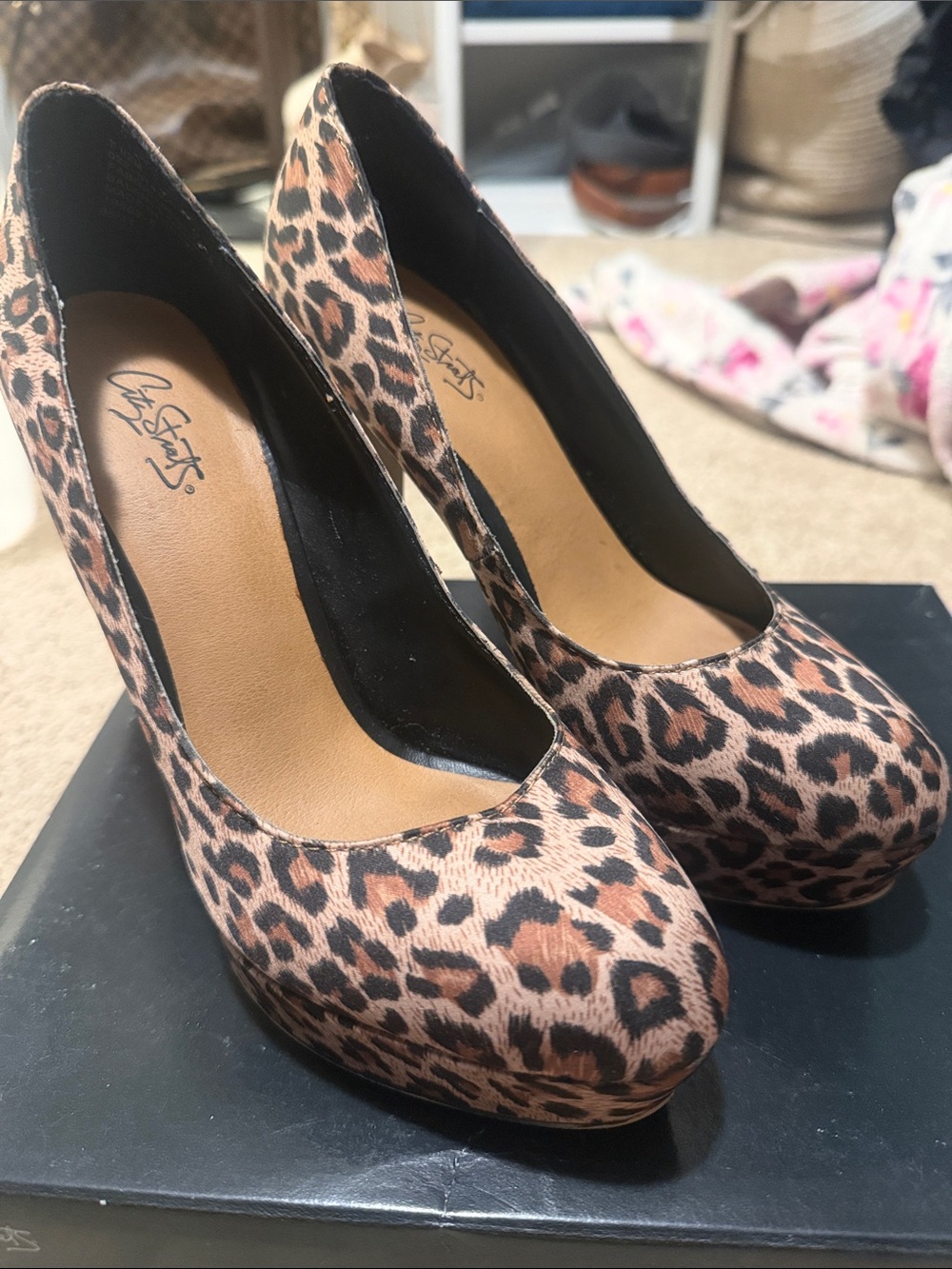 City Streets Leopard Print Platform Pumps in Brown and Black